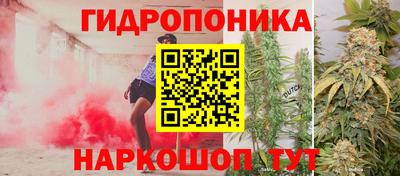 jwh Ставрополь