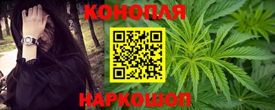 jwh Ставрополь