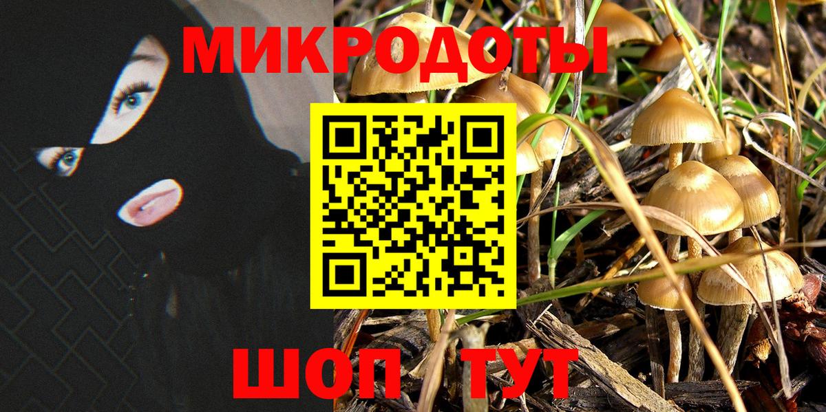 Михайловск  Галлюциногенные грибы мухоморы  продажа наркотиков  Псилоцибиновые грибы мухоморы  Вход с VPN 